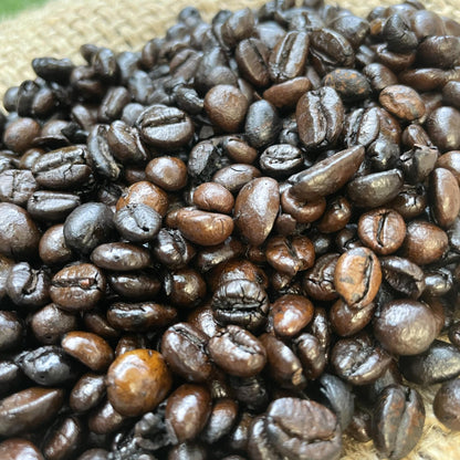 Kalinga Robusta