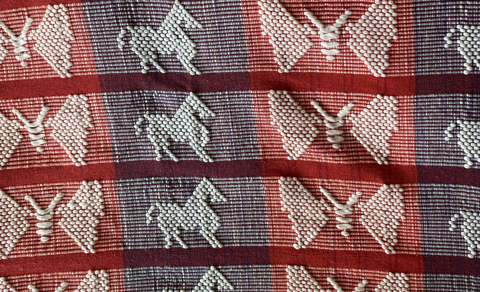 Abel Ilocos Butterfly Design